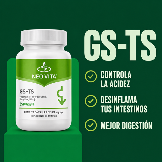 GS-TS | Digestión y Bienestar Gástrico