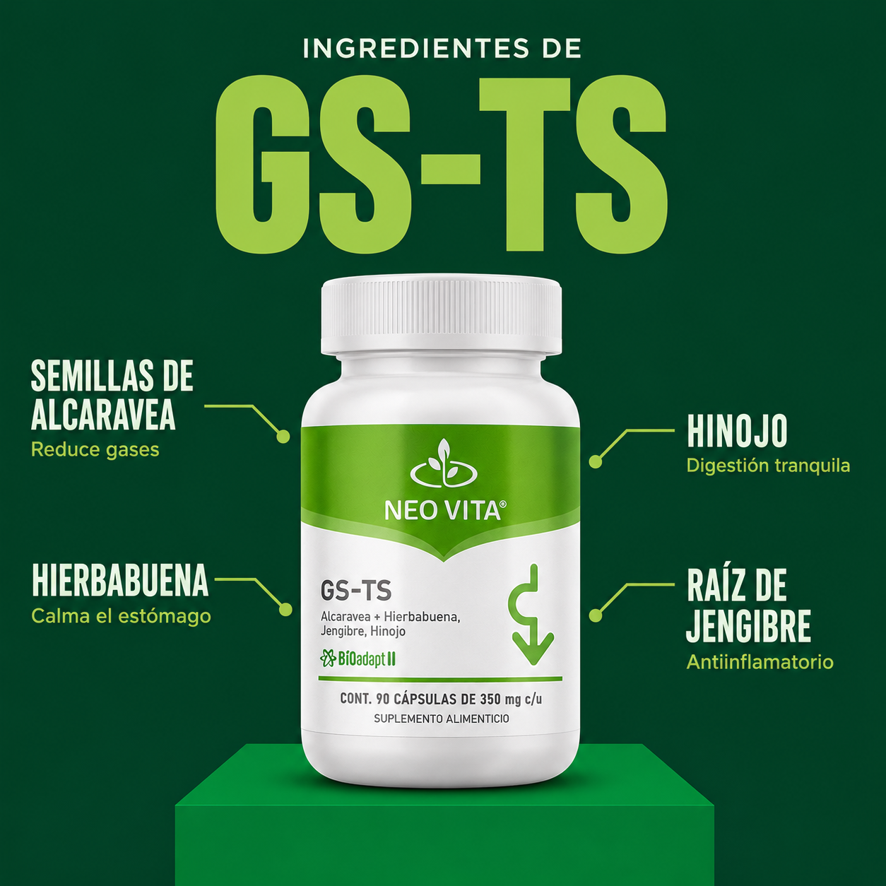 GS-TS | Digestión y Bienestar Gástrico