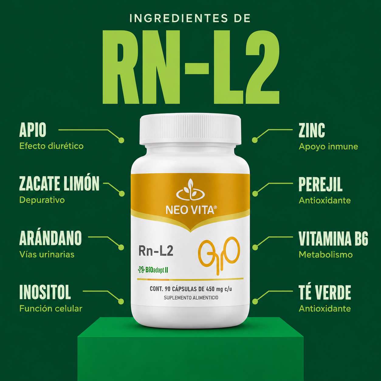 RN-L2 | Apoyo Renal y Función Diurética