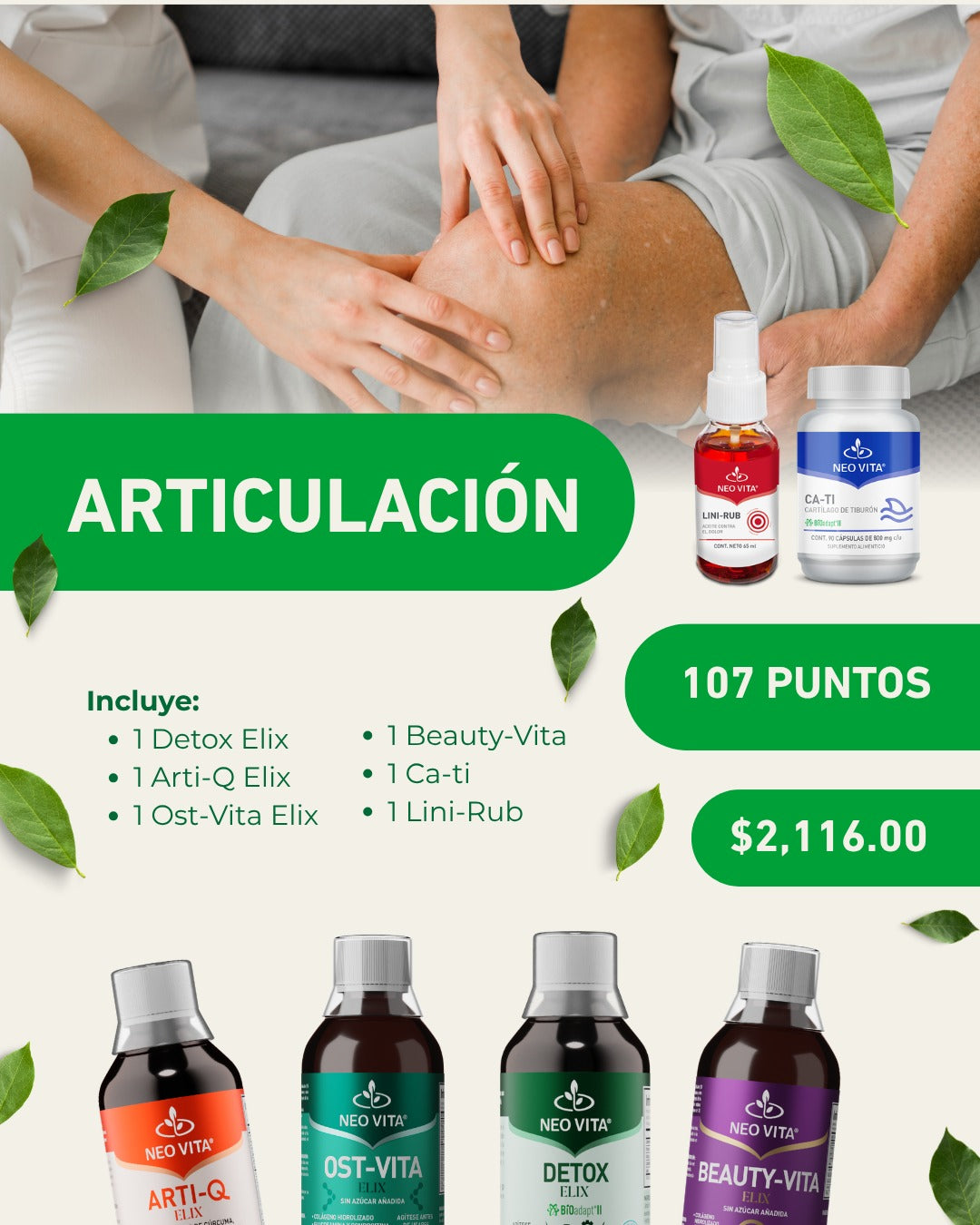 Articulación