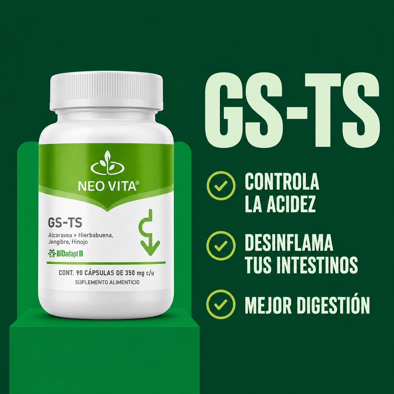 GS-TS | Digestión y Bienestar Gástrico