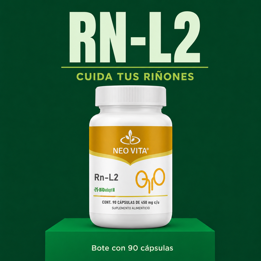 RN-L2 | Apoyo Renal y Función Diurética